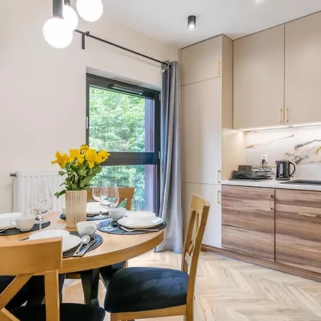 Wintera Iii - Billberry *